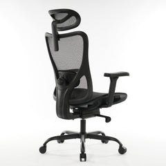 9018 Series Premium Ergonomic Office Chair Black Mesh