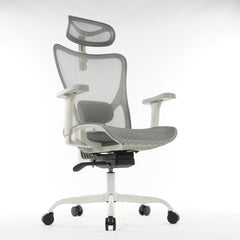9018 Series Premium Ergonomic Office Chair Grey Mesh