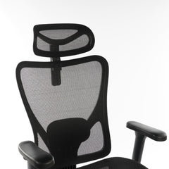 9018 Series Premium Ergonomic Office Chair Black Mesh